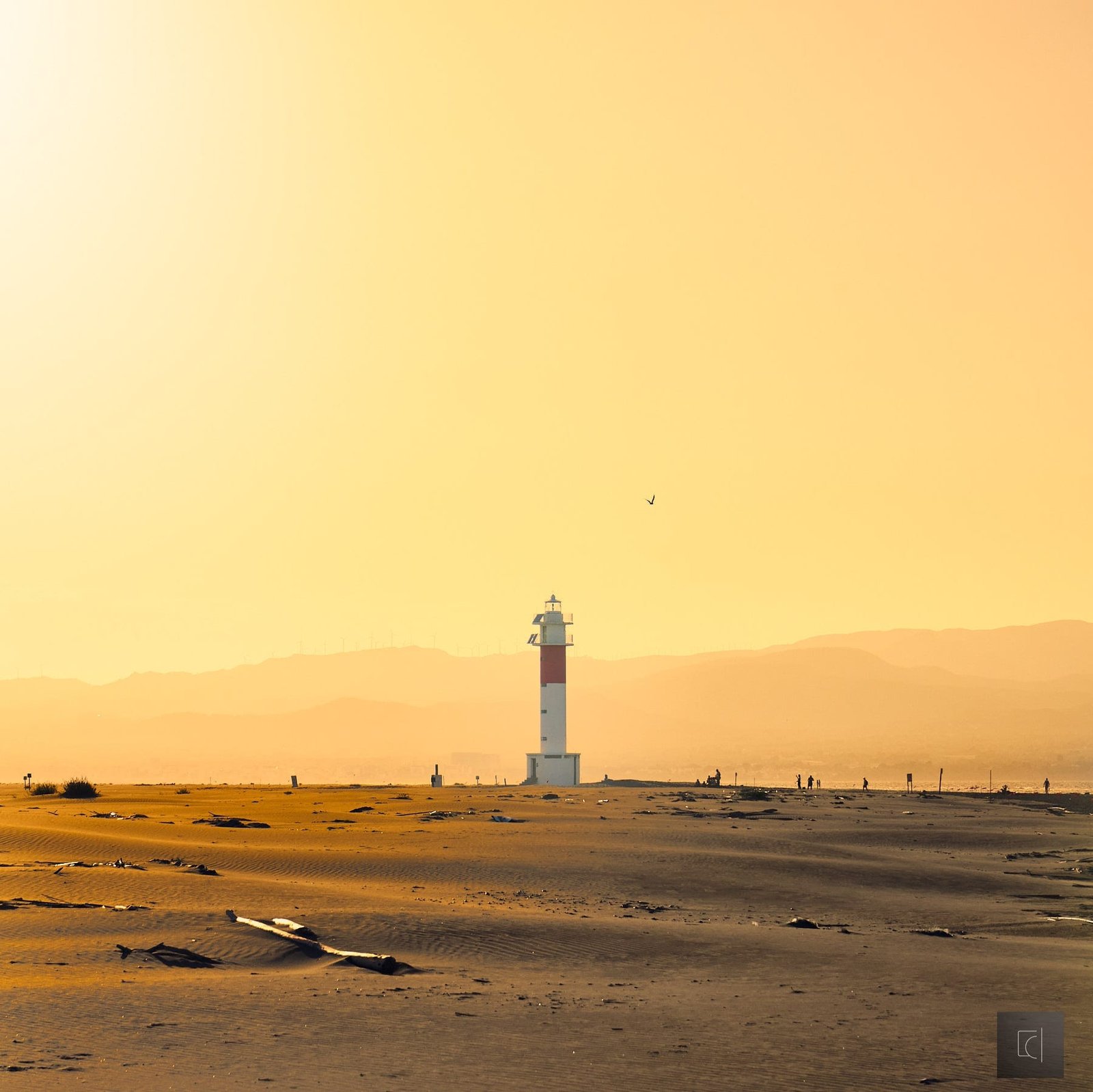 curso de fotografía delta de l'ebre