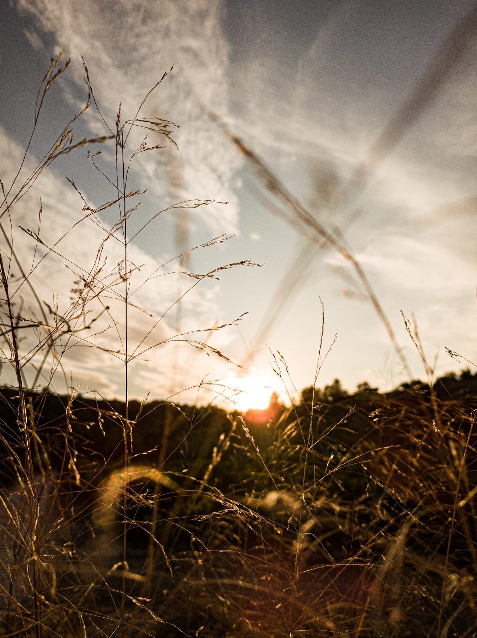 Otoño para los fotógrafos
